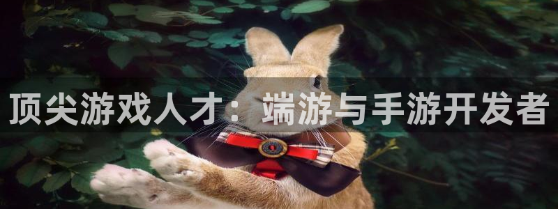 庄闲游戏(官方)官方网站：顶尖游戏人才：端游与手游开发者