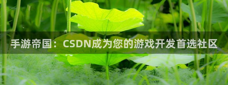 庄闲游戏平台app：手游帝国：CSDN成为您的游戏开发首选社