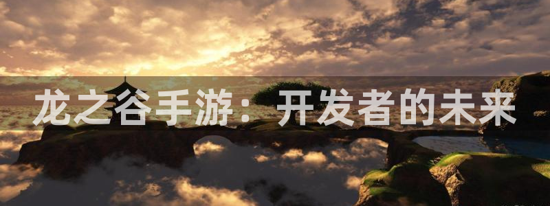 庄闲和的玩法：龙之谷手游：开发者的未来