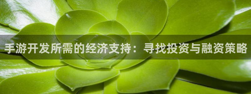 庄闲游戏论坛：手游开发所需的经济支持：寻找投资与融资策略