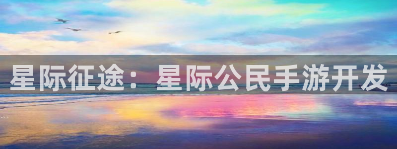庄闲输了怎么办：星际征途：星际公民手游开发