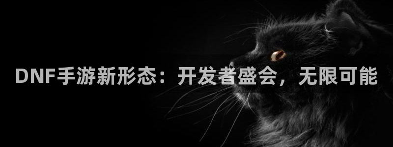 庄闲和的玩法：DNF手游新形态：开发者盛会，无限可能