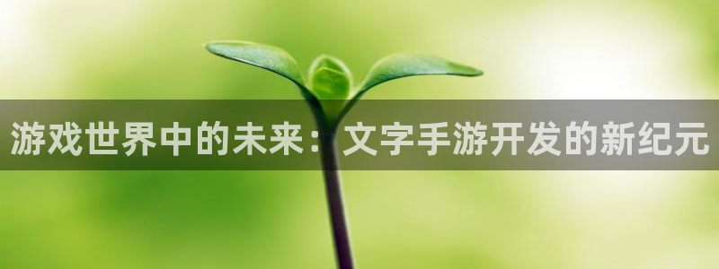 庄闲游戏最新版号：游戏世界中的未来：文字手游开发的新纪元