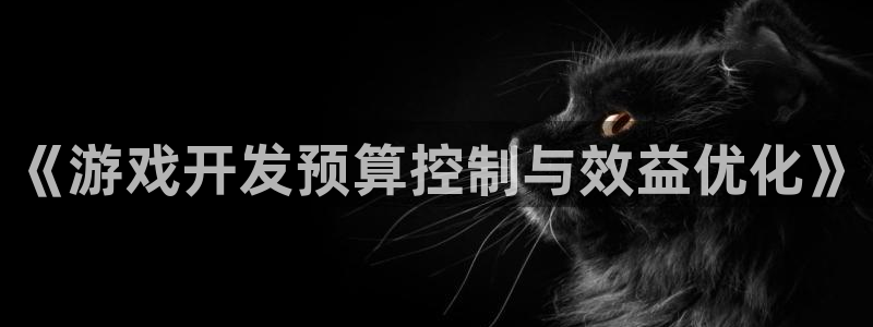 庄闲怎么赢：《游戏开发预算控制与效益优化》