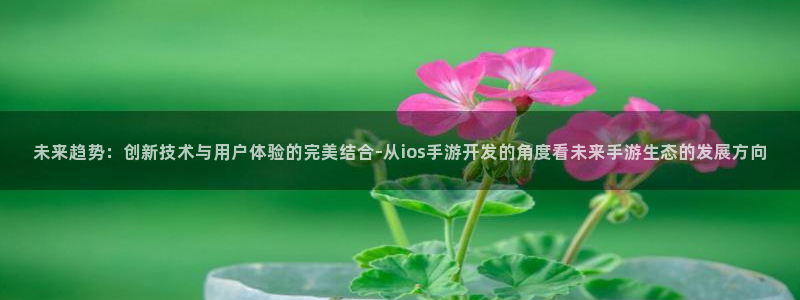 庄闲有没有规律：未来趋势：创新技术与用户体验的完美结合-从i