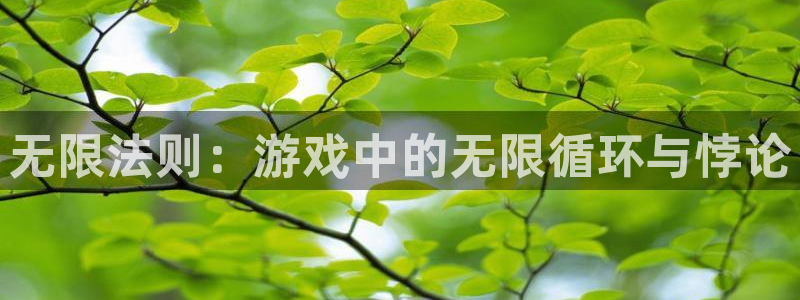 庄闲是什么app：无限法则：游戏中的无限循环与悖论
