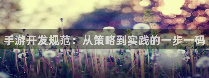 庄闲游戏导航：手游开发规范：从策略到实践的一步一码