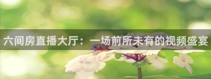 310直播极速体育：六间房直播大厅：一场前所未有的视频盛宴