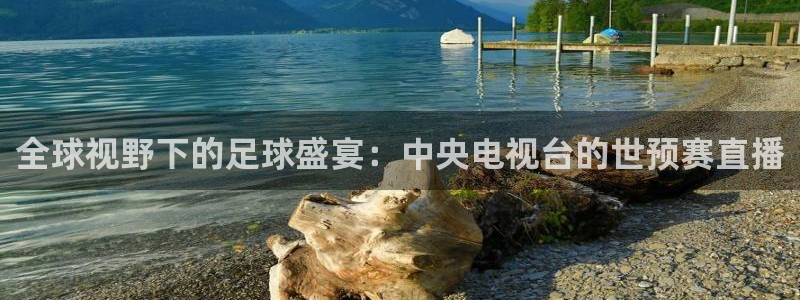 nba体育极速直播体育：全球视野下的足球盛宴：中央电视台的世预赛直播