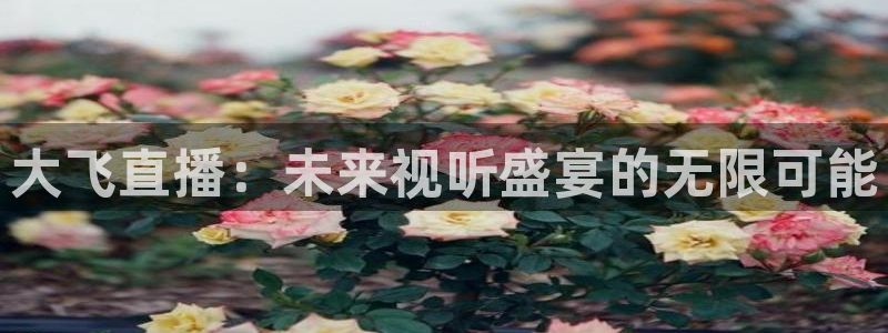 极速体育免费高清看篮球直播：大飞直播：未来视听盛宴的无限可能