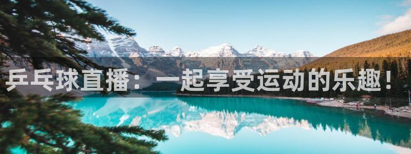 nba直播极速体育直播免费nba回放：乒乓球直播：一起享受运动的乐趣！