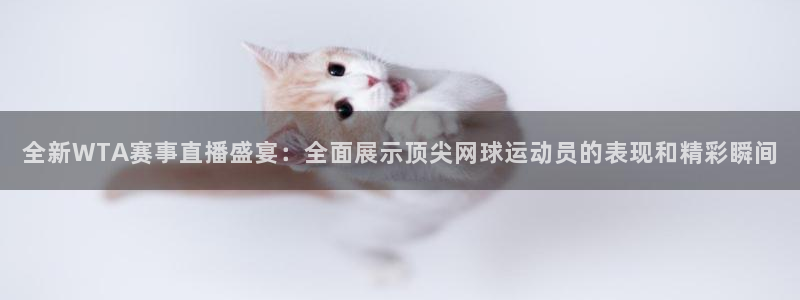 极速直播体育在线直播：全新WTA赛事直播盛宴：全面展示顶尖网球运动员的表现和精彩瞬间