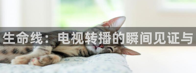 无插件极速体育直播：生命线：电视转播的瞬间见证与