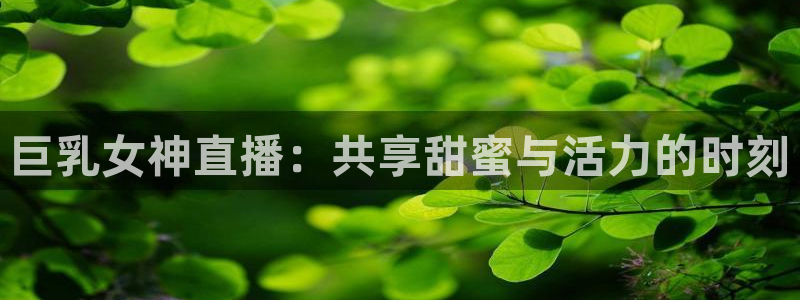 nba免费直播极速体育直播