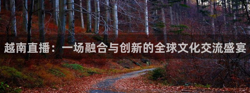 极速体育直播吧老牌直播车：越南直播：一场融合与创新的全球文化交流盛宴