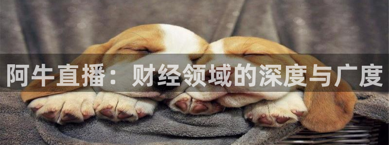 极速体育吧篮球直播：阿牛直播：财经领域的深度与广度